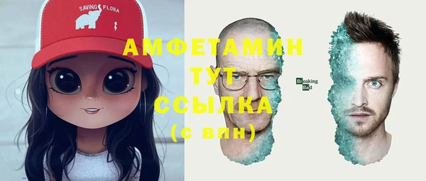 гидра Богородицк