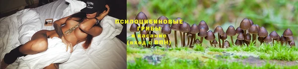 mdpv Белоозёрский