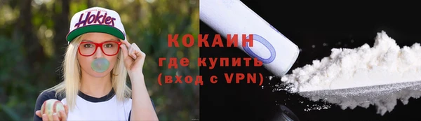 гидра Богородицк