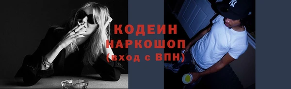 гидра Богородицк