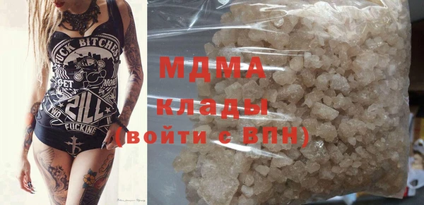 гидра Богородицк